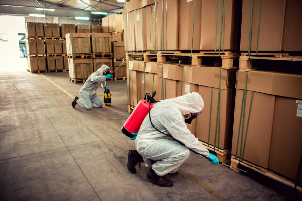 Best Pest Prevention Services  in South Vacherie, LA