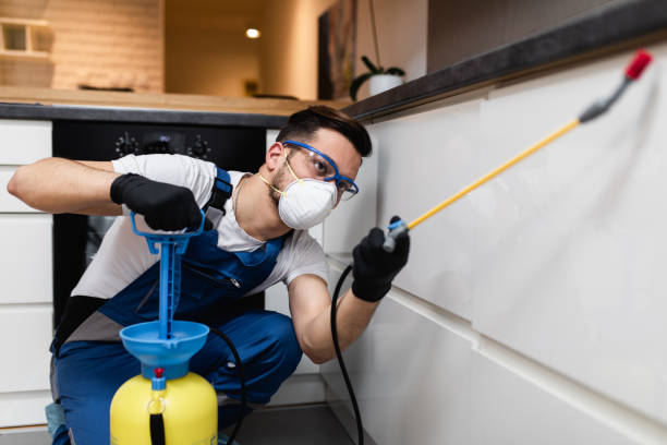 Best Affordable Pest Control Services  in South Vacherie, LA