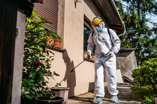 Best Ant Control Services  in South Vacherie, LA
