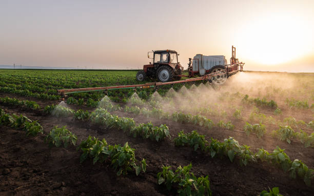 Best Pest Prevention Services  in South Vacherie, LA