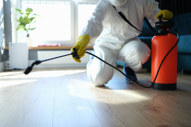 Best Best Pest Control Companies  in South Vacherie, LA