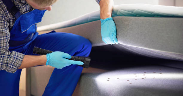 Best Pest Control Near Me  in South Vacherie, LA