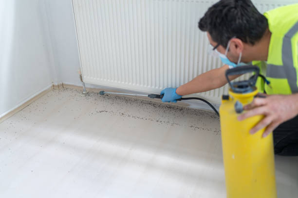 Best Rat Extermination Near Me  in South Vacherie, LA