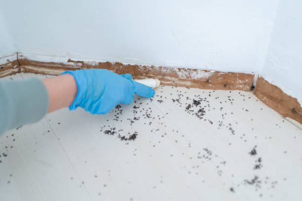 Best Commercial Pest Control Services  in South Vacherie, LA