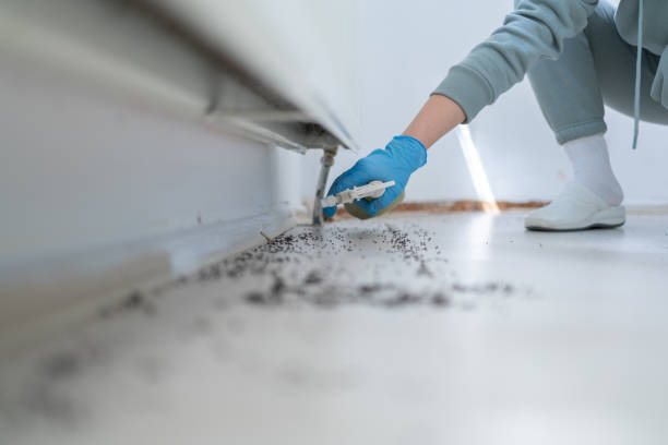 Reliable South Vacherie, LA Pest Control Solutions